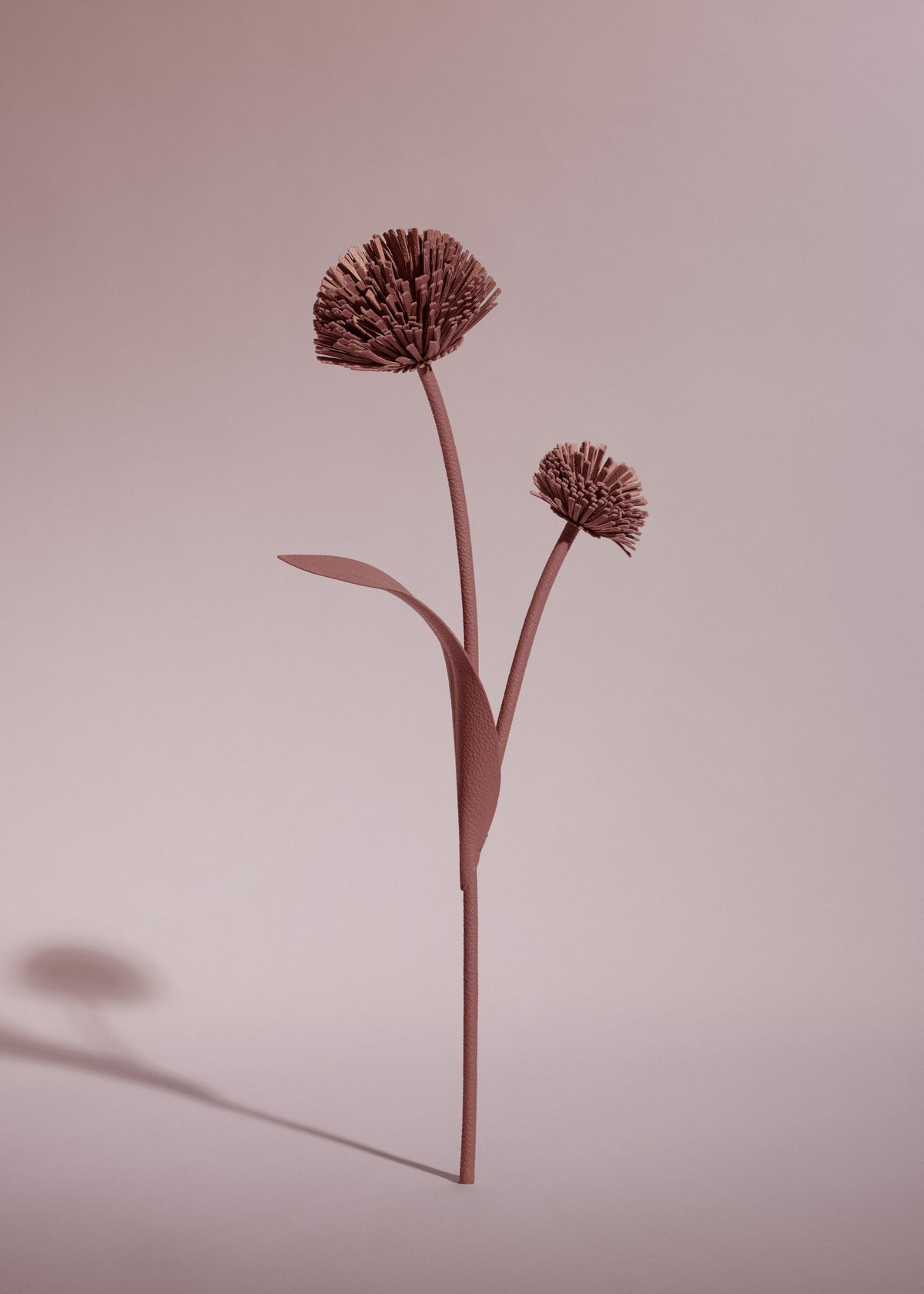 Fleur Tul - Blush