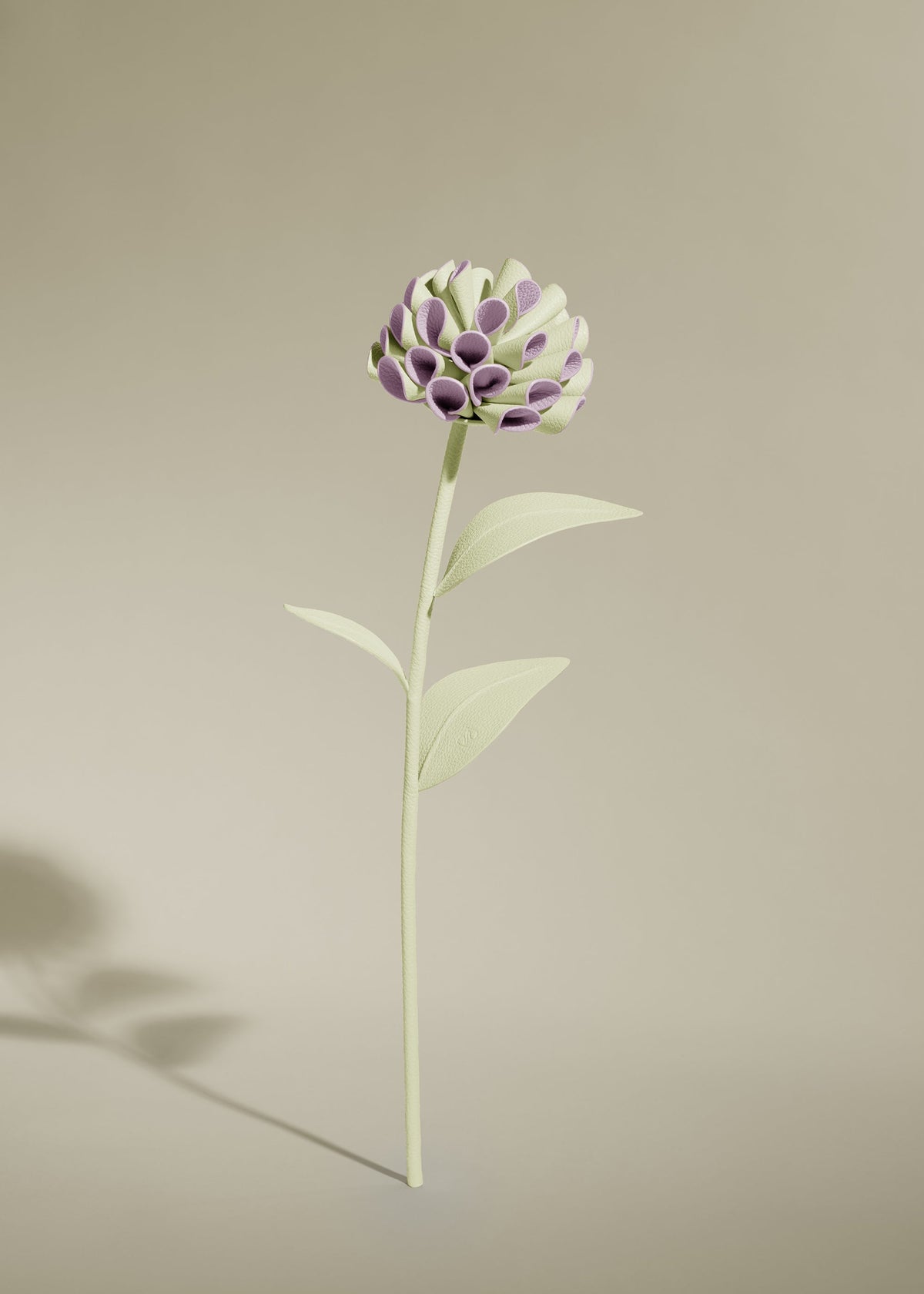 Fleur Dalium - Aloe